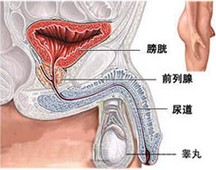 生殖感染,北京京通医院泌尿外科