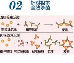 生殖感染:针对根本 全效杀菌